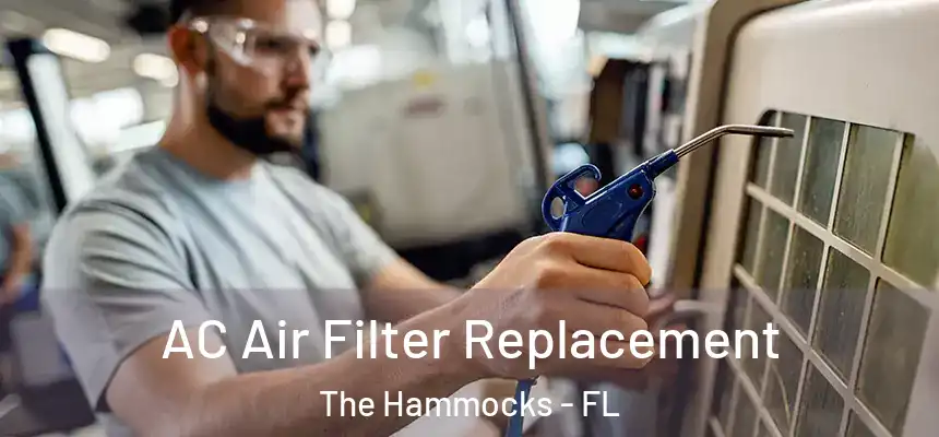 AC Air Filter Replacement The Hammocks - FL