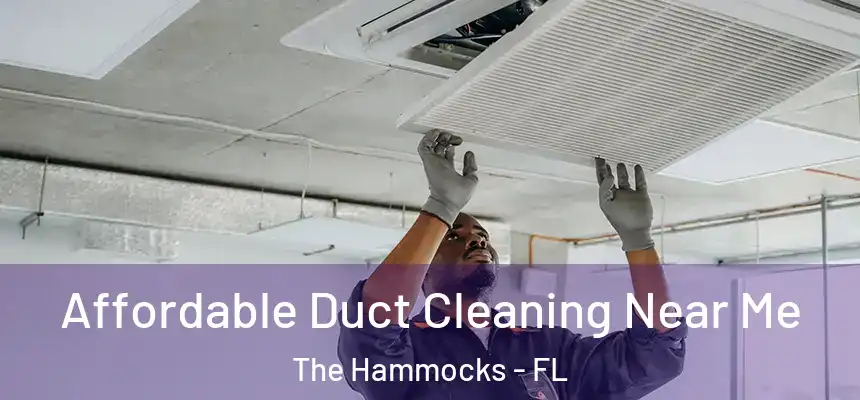 Affordable Duct Cleaning Near Me The Hammocks - FL