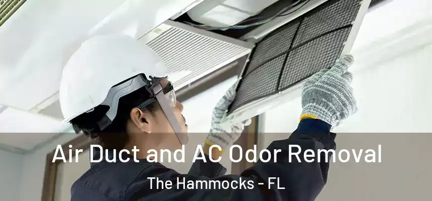 Air Duct and AC Odor Removal The Hammocks - FL