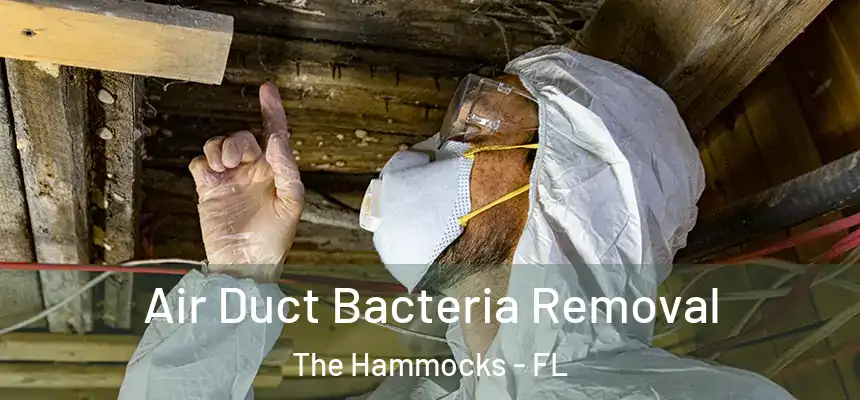 Air Duct Bacteria Removal The Hammocks - FL