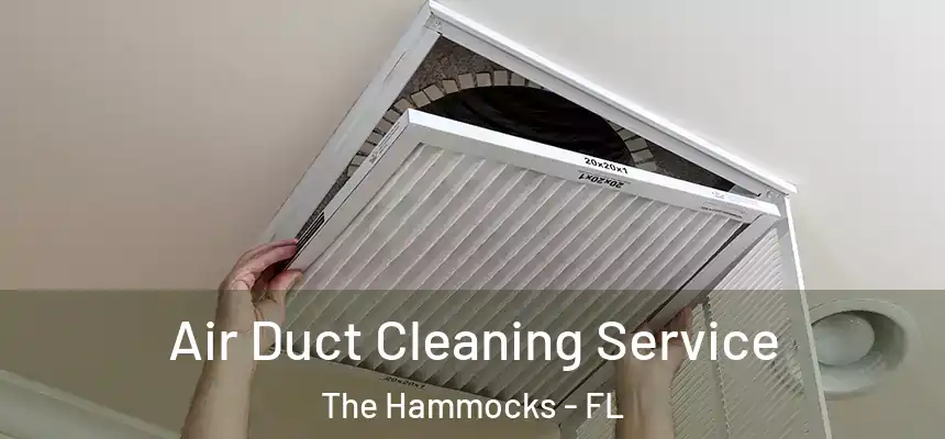 Air Duct Cleaning Service The Hammocks - FL