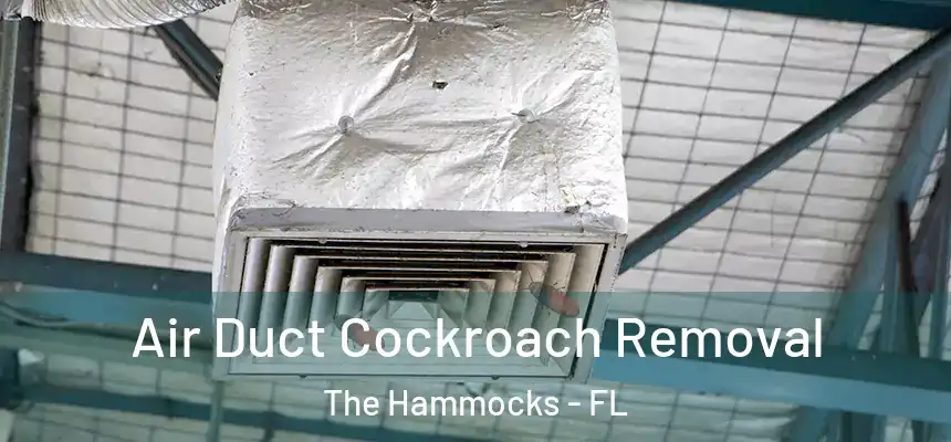 Air Duct Cockroach Removal The Hammocks - FL