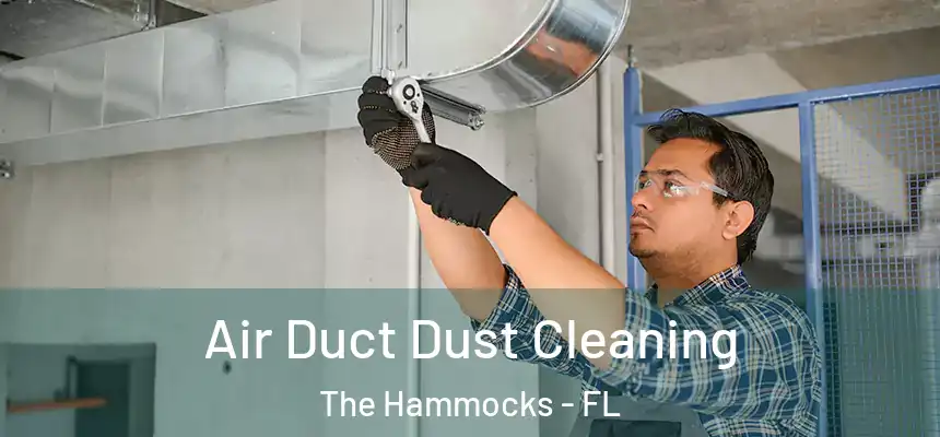 Air Duct Dust Cleaning The Hammocks - FL