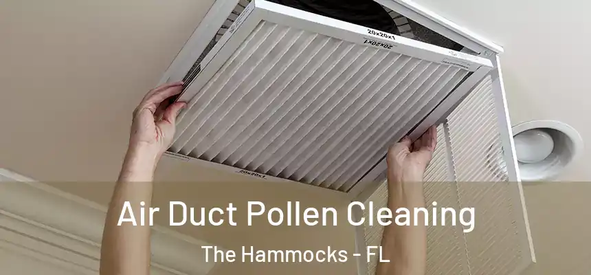Air Duct Pollen Cleaning The Hammocks - FL