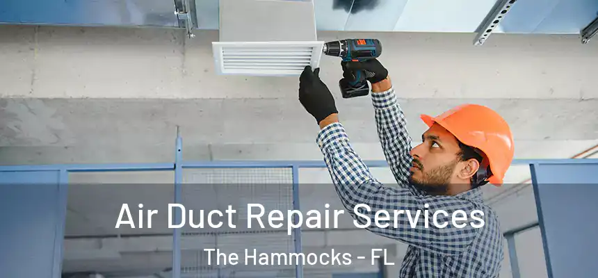 Air Duct Repair Services The Hammocks - FL