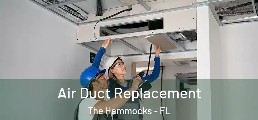 Air Duct Replacement The Hammocks - FL