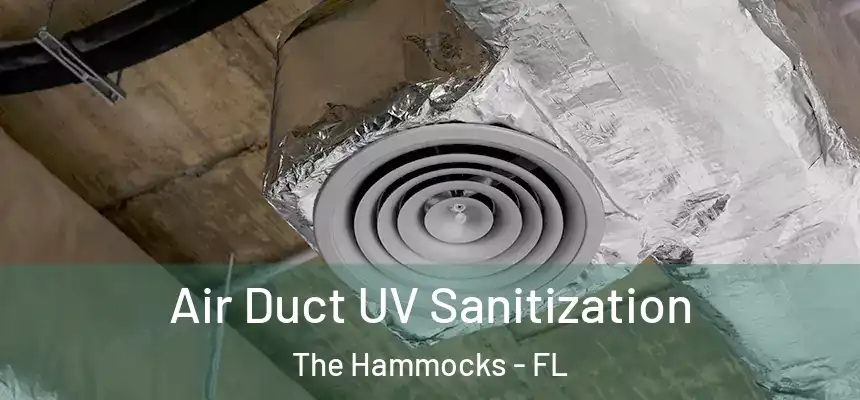 Air Duct UV Sanitization The Hammocks - FL
