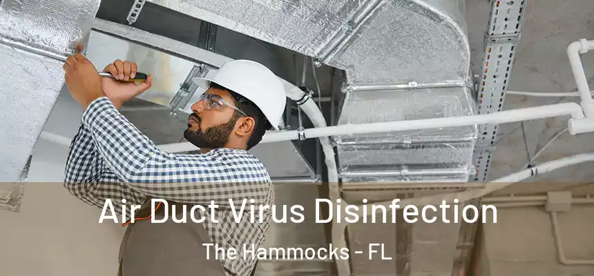 Air Duct Virus Disinfection The Hammocks - FL