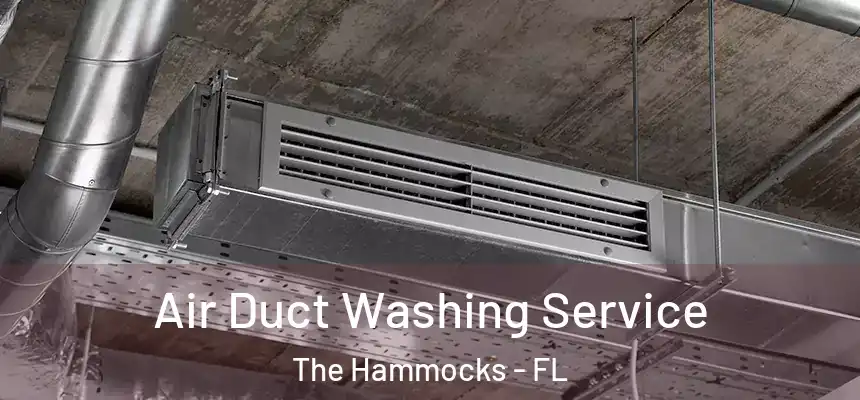 Air Duct Washing Service The Hammocks - FL