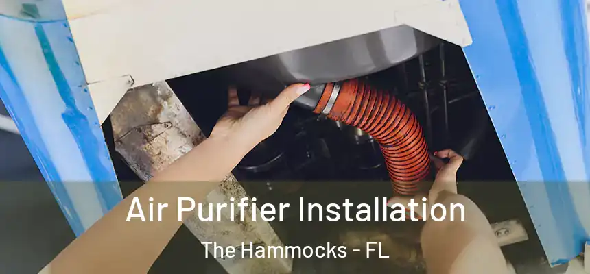 Air Purifier Installation The Hammocks - FL