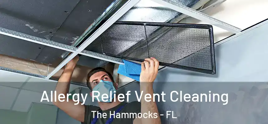 Allergy Relief Vent Cleaning The Hammocks - FL
