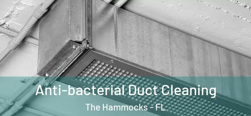 Anti-bacterial Duct Cleaning The Hammocks - FL