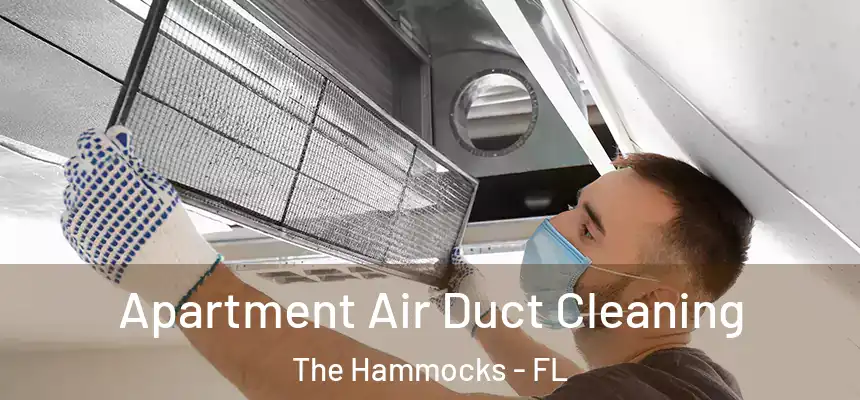 Apartment Air Duct Cleaning The Hammocks - FL