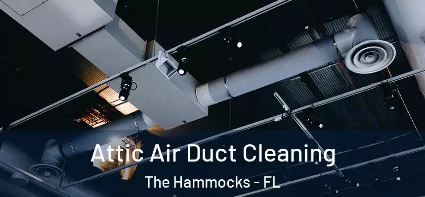 Attic Air Duct Cleaning The Hammocks - FL