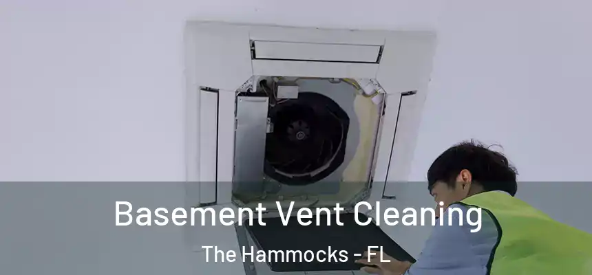 Basement Vent Cleaning The Hammocks - FL