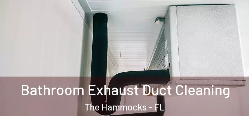 Bathroom Exhaust Duct Cleaning The Hammocks - FL
