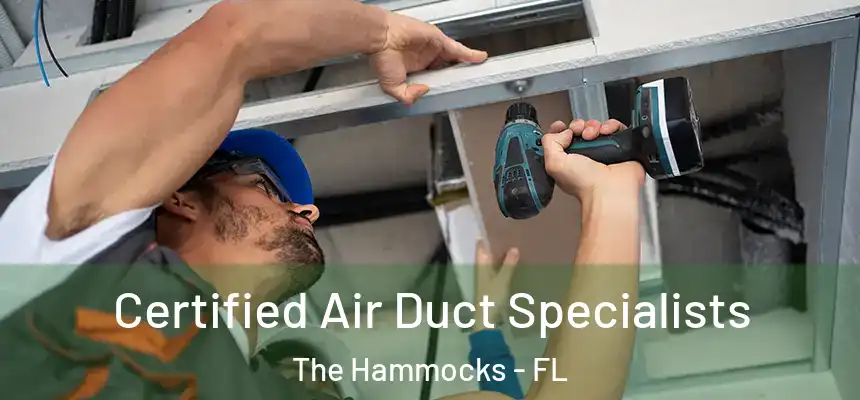 Certified Air Duct Specialists The Hammocks - FL