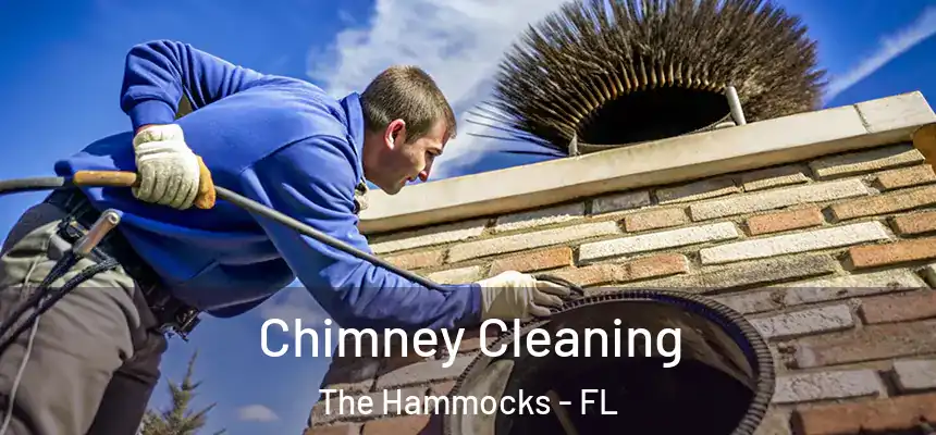 Chimney Cleaning The Hammocks - FL