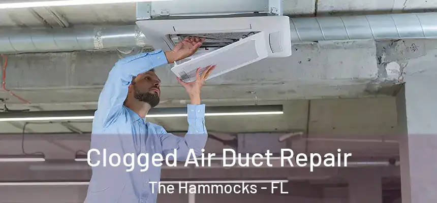 Clogged Air Duct Repair The Hammocks - FL
