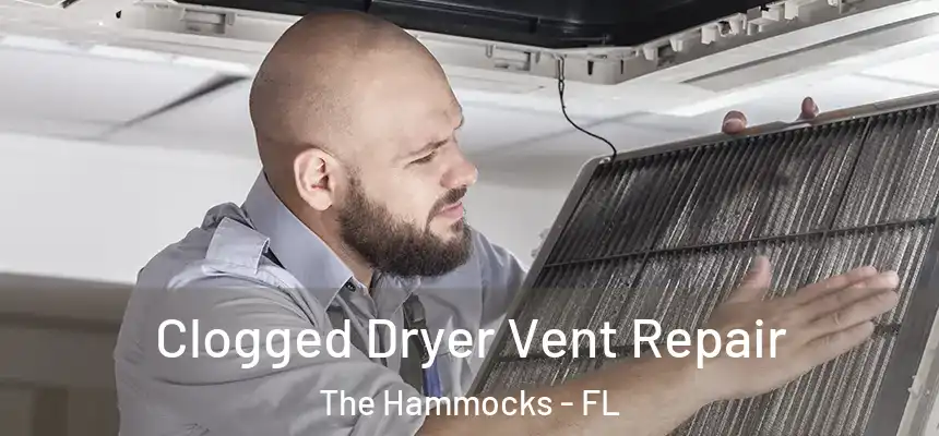 Clogged Dryer Vent Repair The Hammocks - FL
