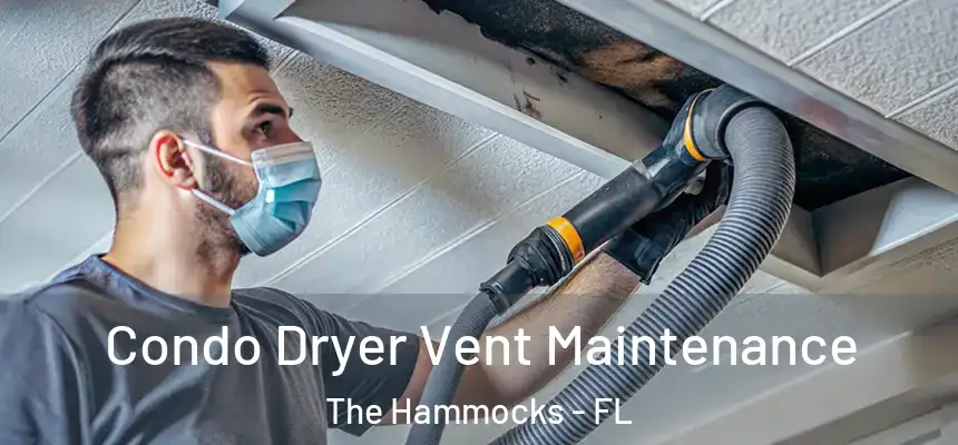 Condo Dryer Vent Maintenance The Hammocks - FL