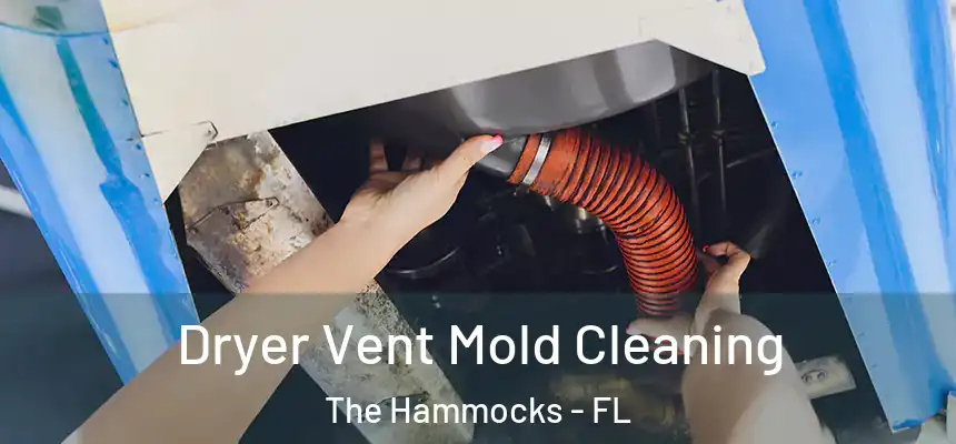 Dryer Vent Mold Cleaning The Hammocks - FL