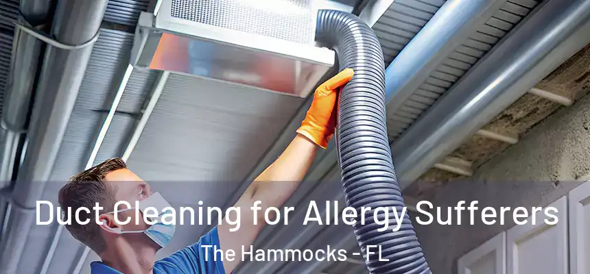  Duct Cleaning for Allergy Sufferers The Hammocks - FL