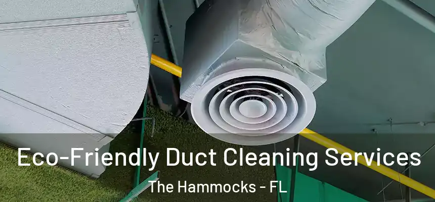 Eco-Friendly Duct Cleaning Services The Hammocks - FL