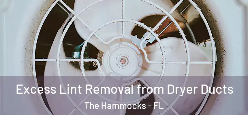 Excess Lint Removal from Dryer Ducts The Hammocks - FL