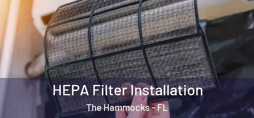 HEPA Filter Installation The Hammocks - FL