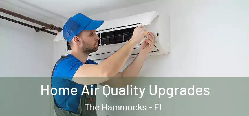 Home Air Quality Upgrades The Hammocks - FL