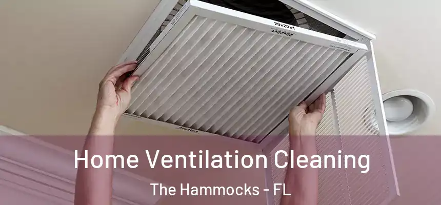 Home Ventilation Cleaning The Hammocks - FL