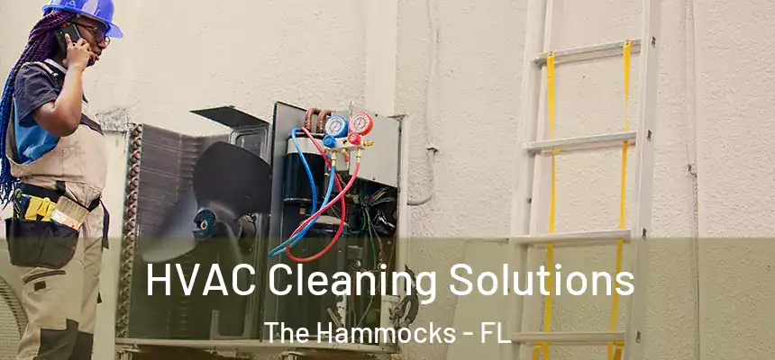 HVAC Cleaning Solutions The Hammocks - FL