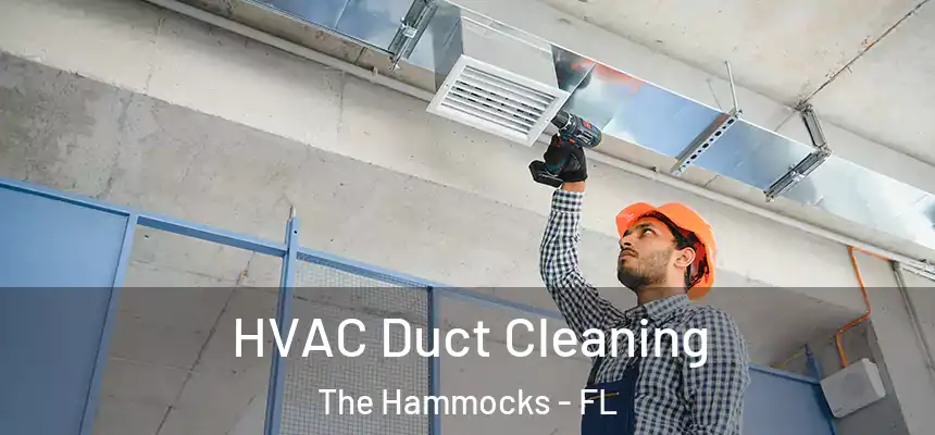 HVAC Duct Cleaning The Hammocks - FL