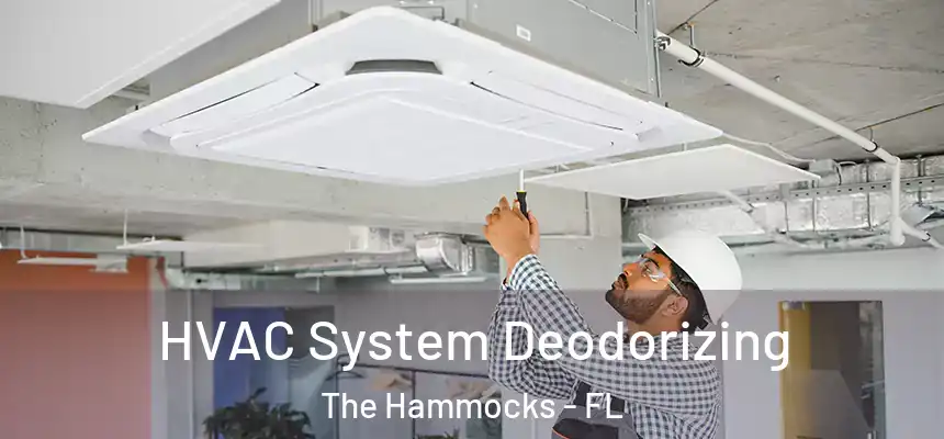 HVAC System Deodorizing The Hammocks - FL