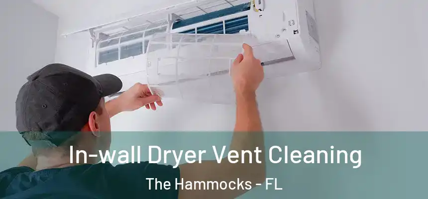 In-wall Dryer Vent Cleaning The Hammocks - FL