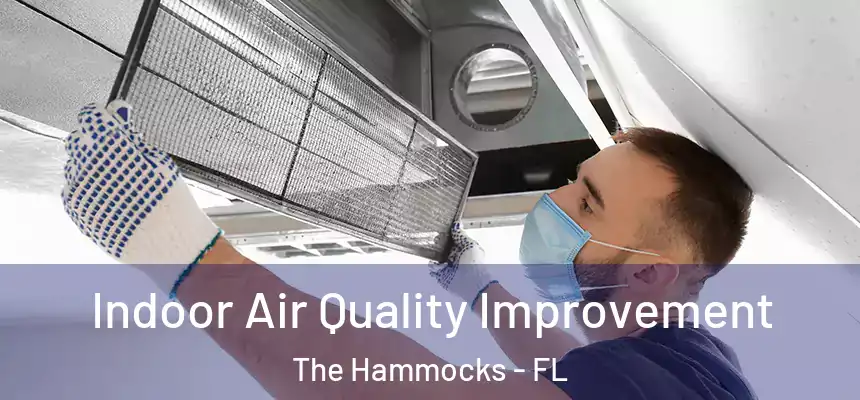 Indoor Air Quality Improvement The Hammocks - FL