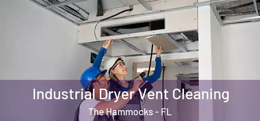 Industrial Dryer Vent Cleaning The Hammocks - FL