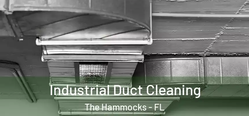 Industrial Duct Cleaning The Hammocks - FL