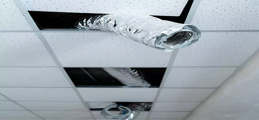 Affordable HVAC Sanitizing After Pest Removal in The Hammocks
