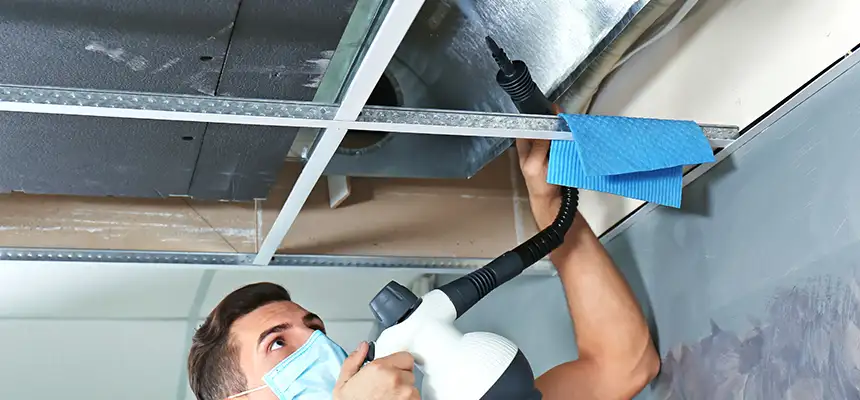 Our Air Duct Rodent Removal Services in The Hammocks, FL