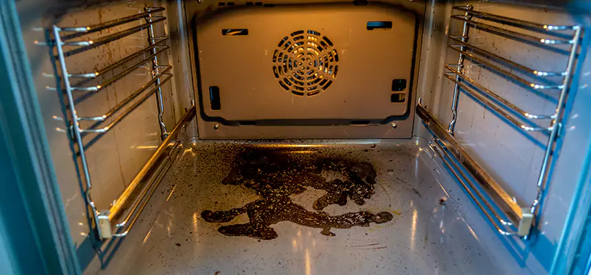 Our Dryer Vent Mold Cleaning Services in The Hammocks, FL