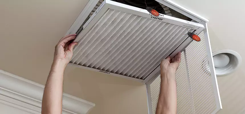Our Insect Removal from Air Ducts Services in The Hammocks, FL