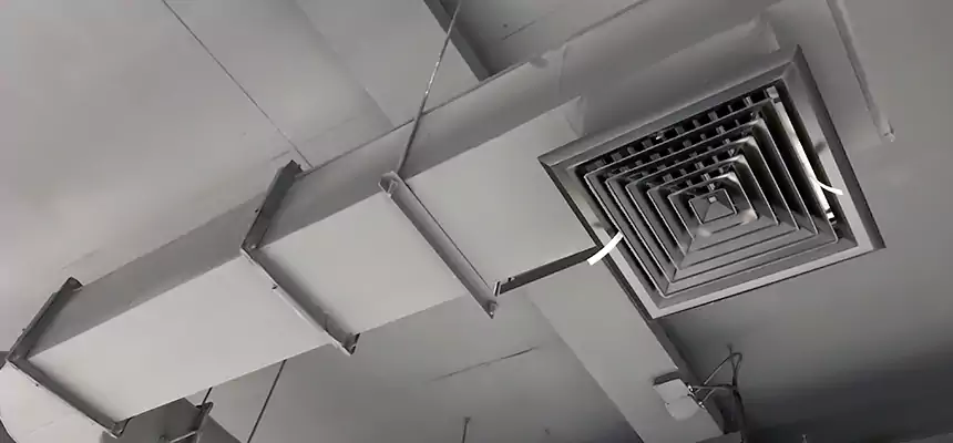 Our Pest Removal From Ducts Services in The Hammocks, FL
