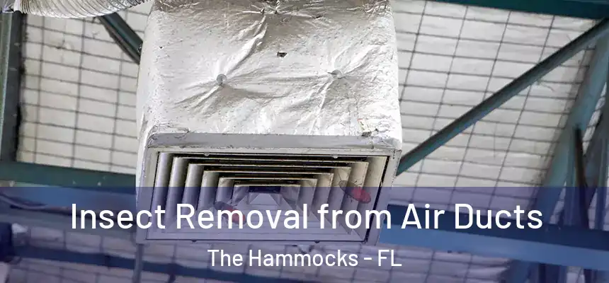 Insect Removal from Air Ducts The Hammocks - FL
