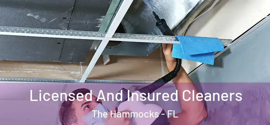 Licensed And Insured Cleaners The Hammocks - FL