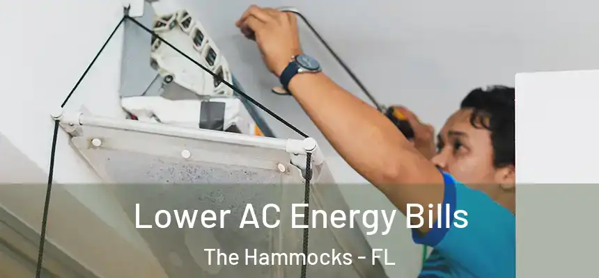 Lower AC Energy Bills The Hammocks - FL