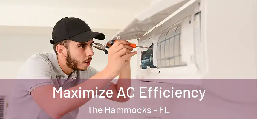 Maximize AC Efficiency The Hammocks - FL