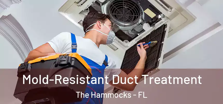 Mold-Resistant Duct Treatment The Hammocks - FL