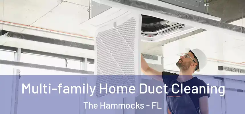 Multi-family Home Duct Cleaning The Hammocks - FL